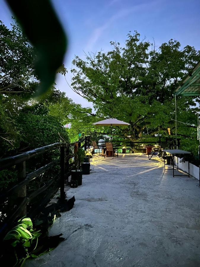 Hostal Pakal King パレンケ エクステリア 写真