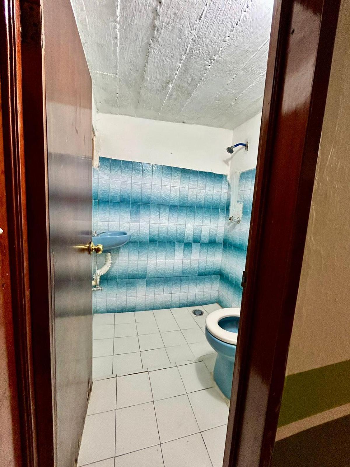 Hostal Pakal King パレンケ エクステリア 写真