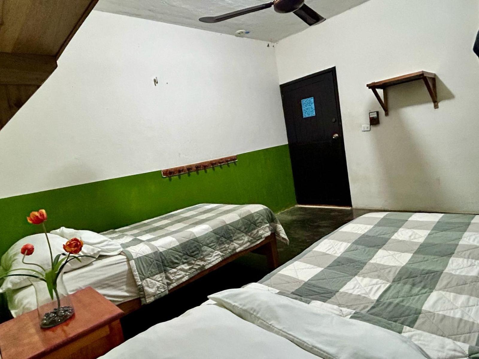 Hostal Pakal King パレンケ エクステリア 写真
